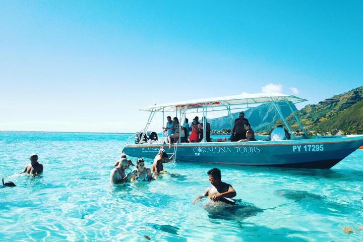 a group of people swimming in a body of water