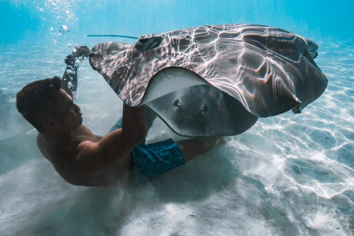 a man swimming in the water